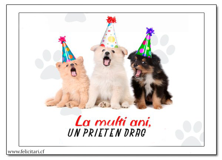 Previzualizare felicitare