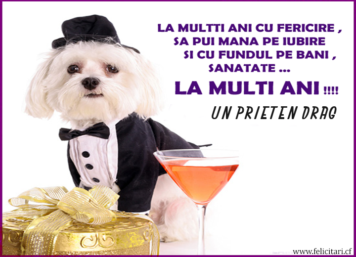 Previzualizare felicitare