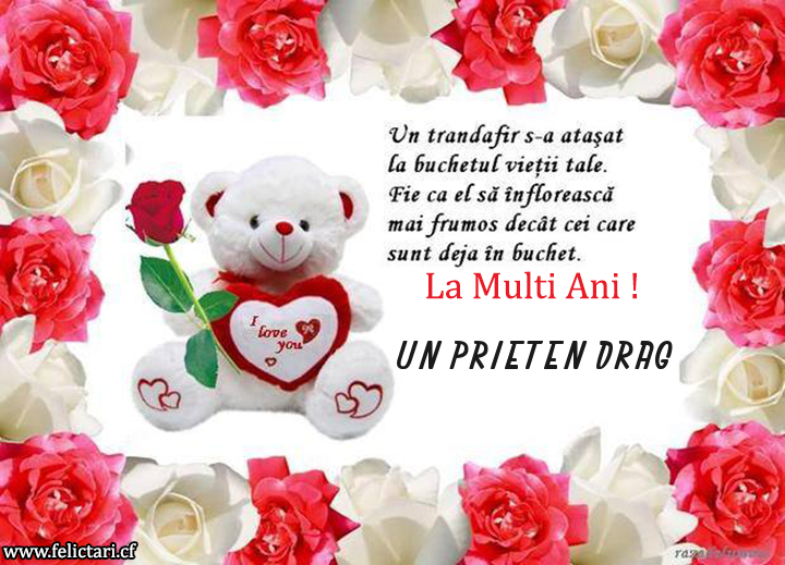 Previzualizare felicitare