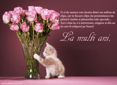 felicitare2802268